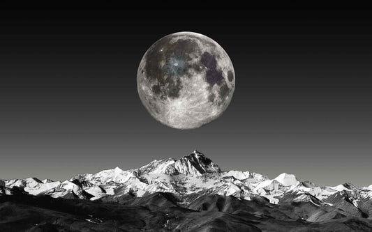 Black and White Moonlight Wallpaper Mural