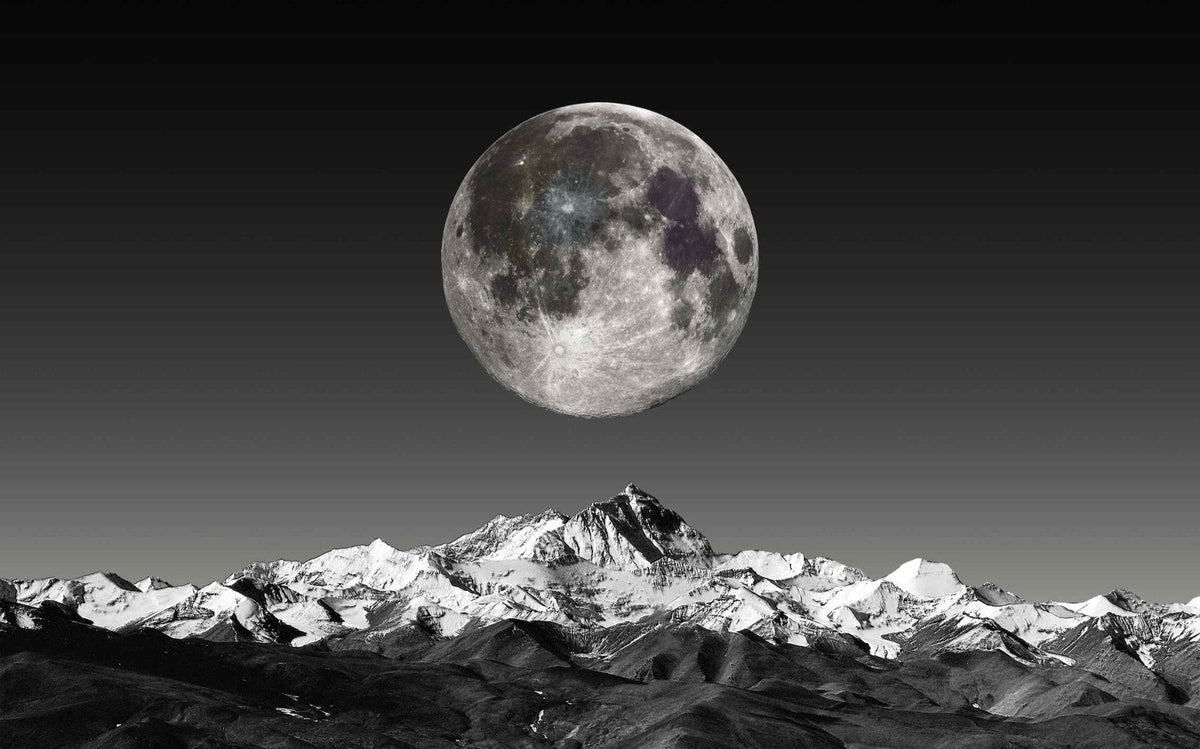 Black and White Moonlight Wallpaper Mural