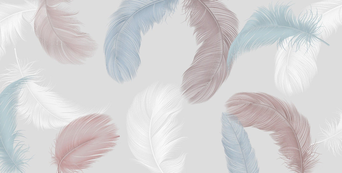 Designer Colorful Feather Wallpaper Murals