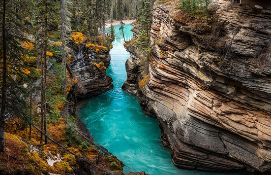 Autumn Serenity at Athabasca Falls Wallpaper