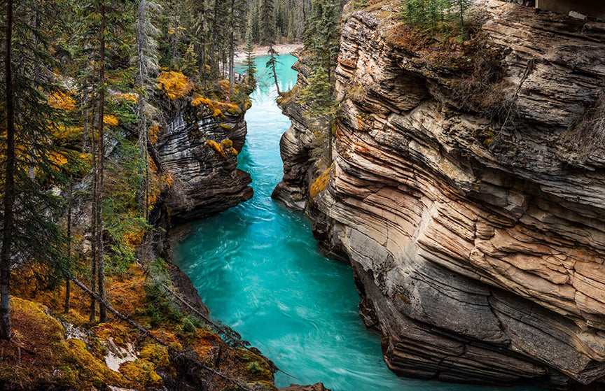 Autumn Serenity at Athabasca Falls Wallpaper