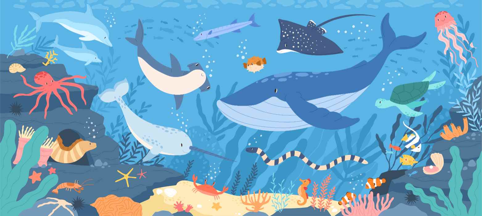 Fish and Marine Life Underwater wallpaper