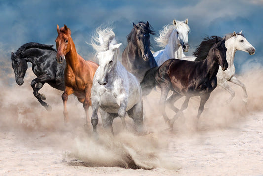 Stormy Running Horse Desert Wallpaper Mural