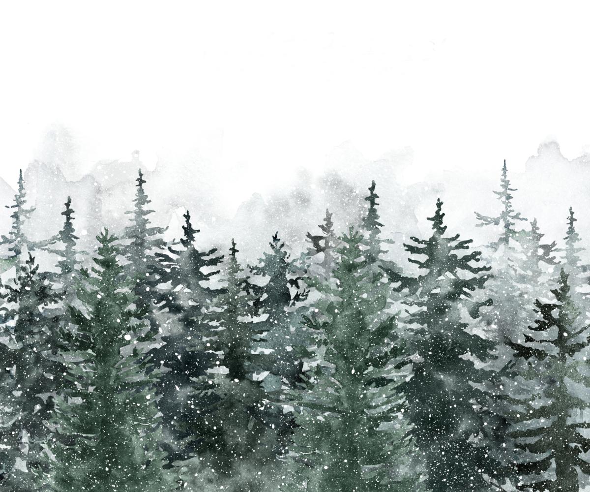 Misty Pine Winter Forest Wallpaper Mural