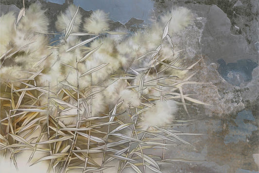 Facinating White Reed Artistic Wallpaper Mural