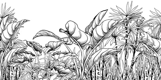 Black & White Big Tropical Leaves Wallpaper Mural