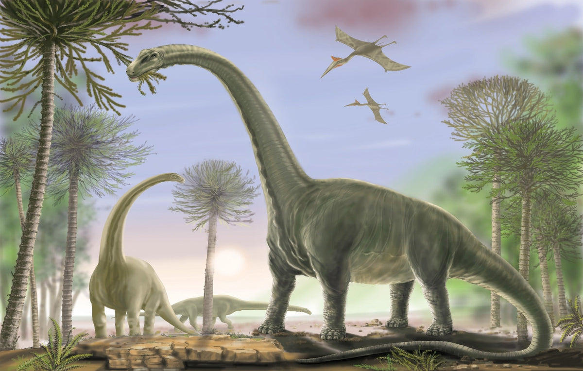 Animated Dinosaur Wallpaper Mural in your room — zoomed