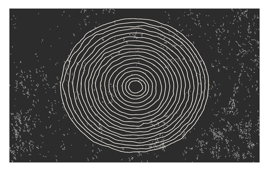 Black & White Concentric Circles Wallpaper Mural
