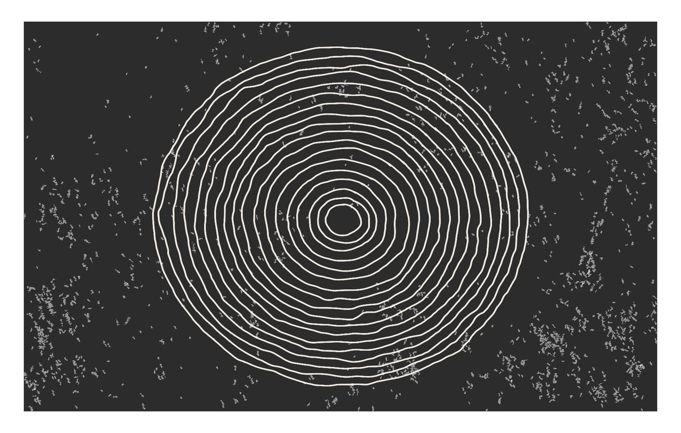Black & White Concentric Circles Wallpaper Mural