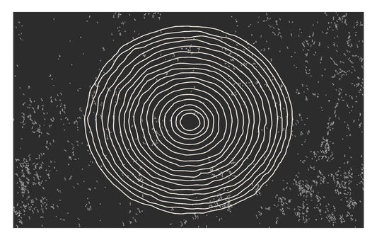 Black & White Concentric Circles Wallpaper Mural