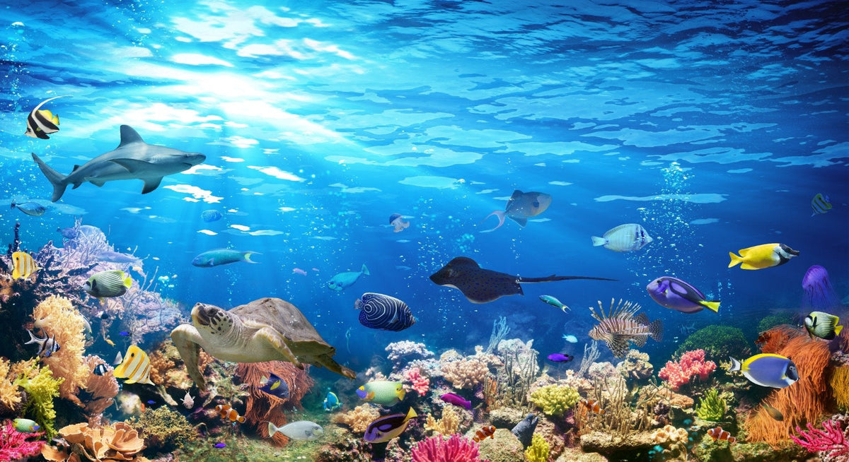Deep Blue Sea Water with Corel Reef wallpaper Mural