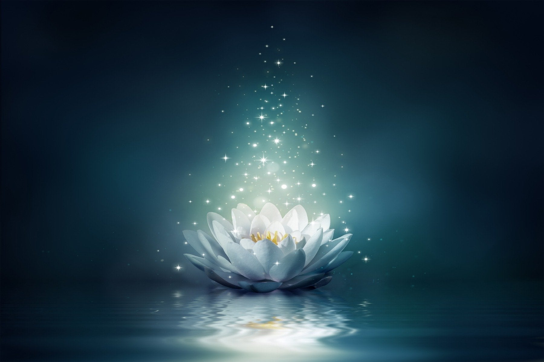 White Lily Wallpaper Mural