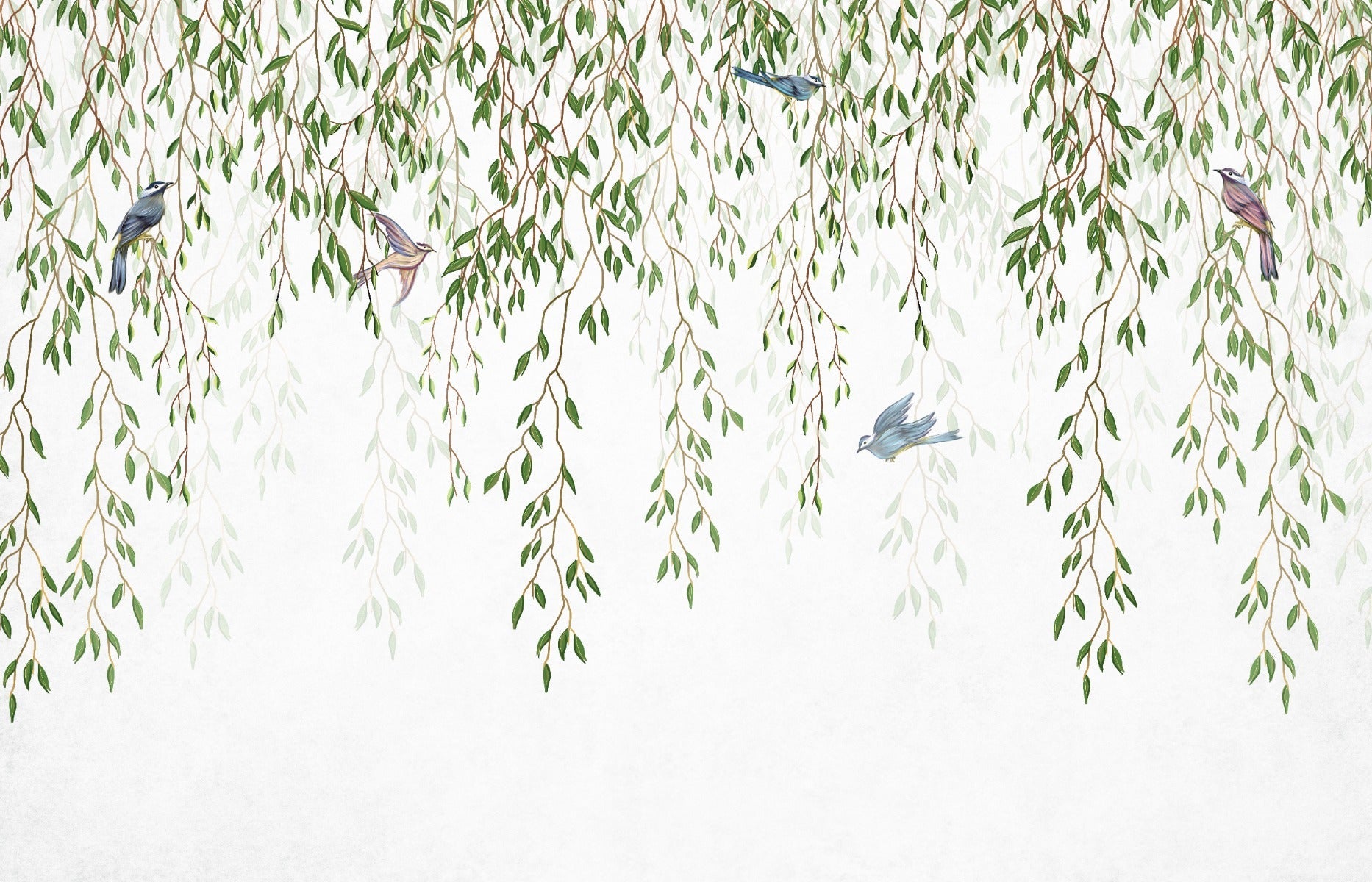 Willow Branches & Birds Wallpaper Mural