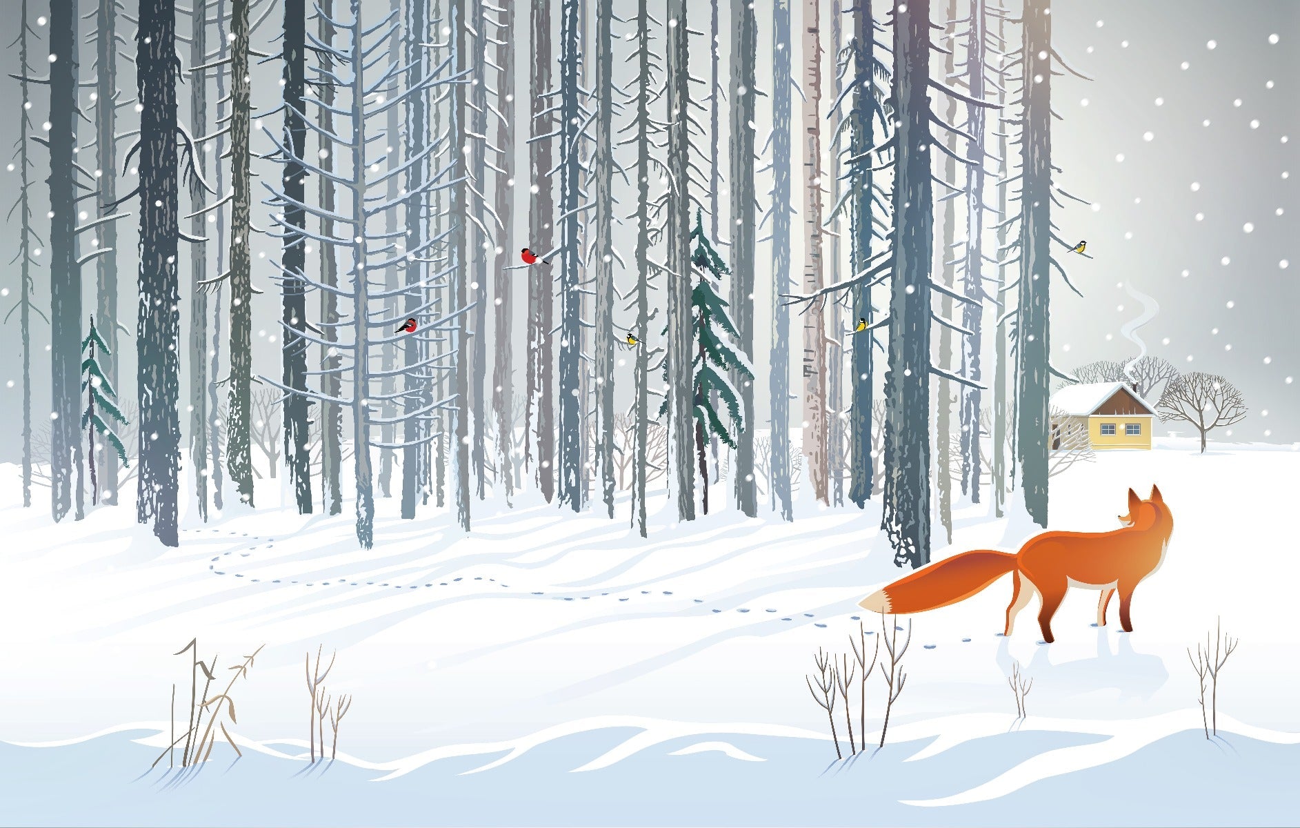 Winter Forest Fox Wallpaper Mural