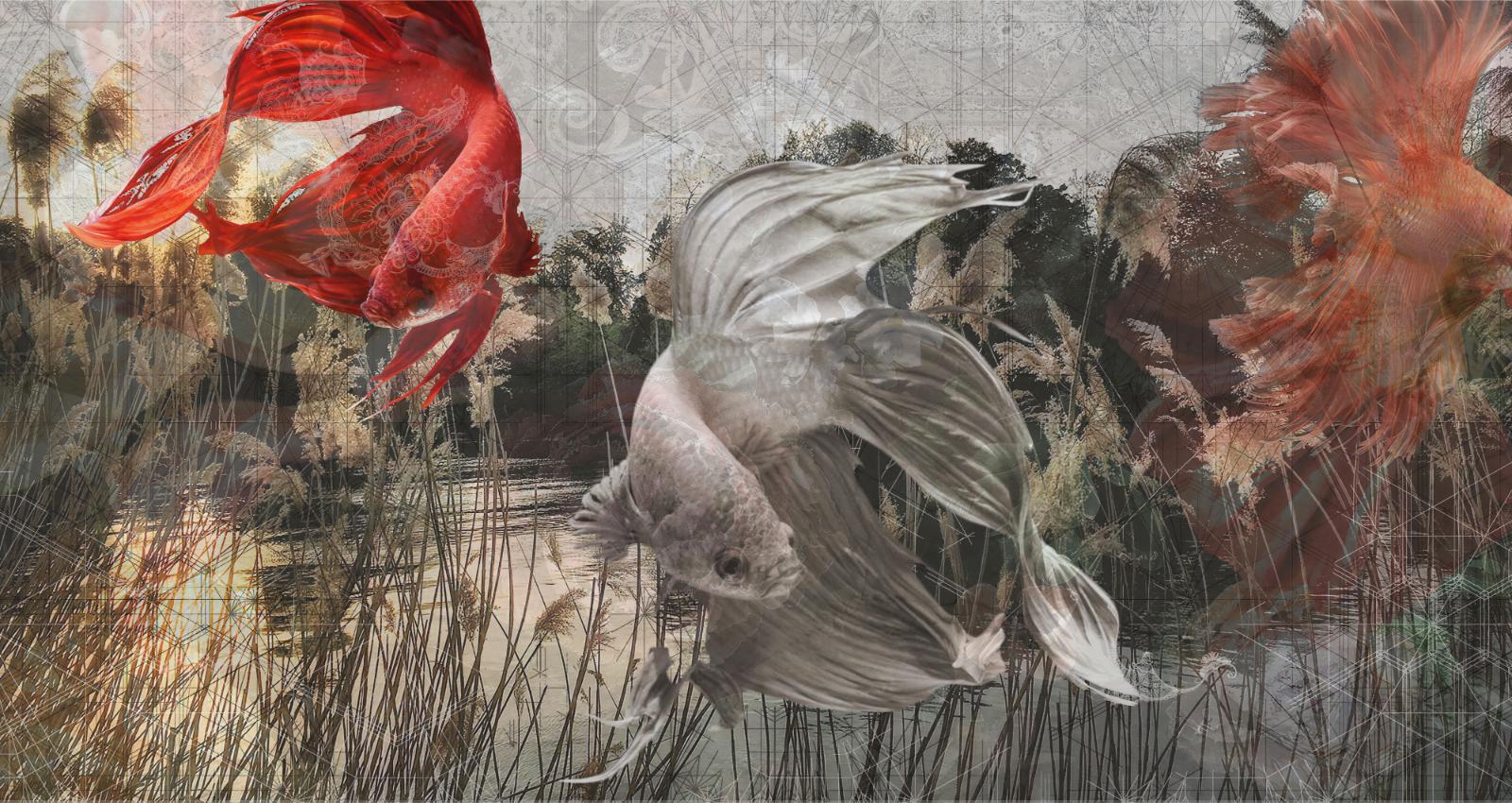 Underwater Fishes Wallpaper Murals