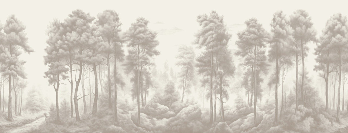 Towering Palm Wallpaper Murals