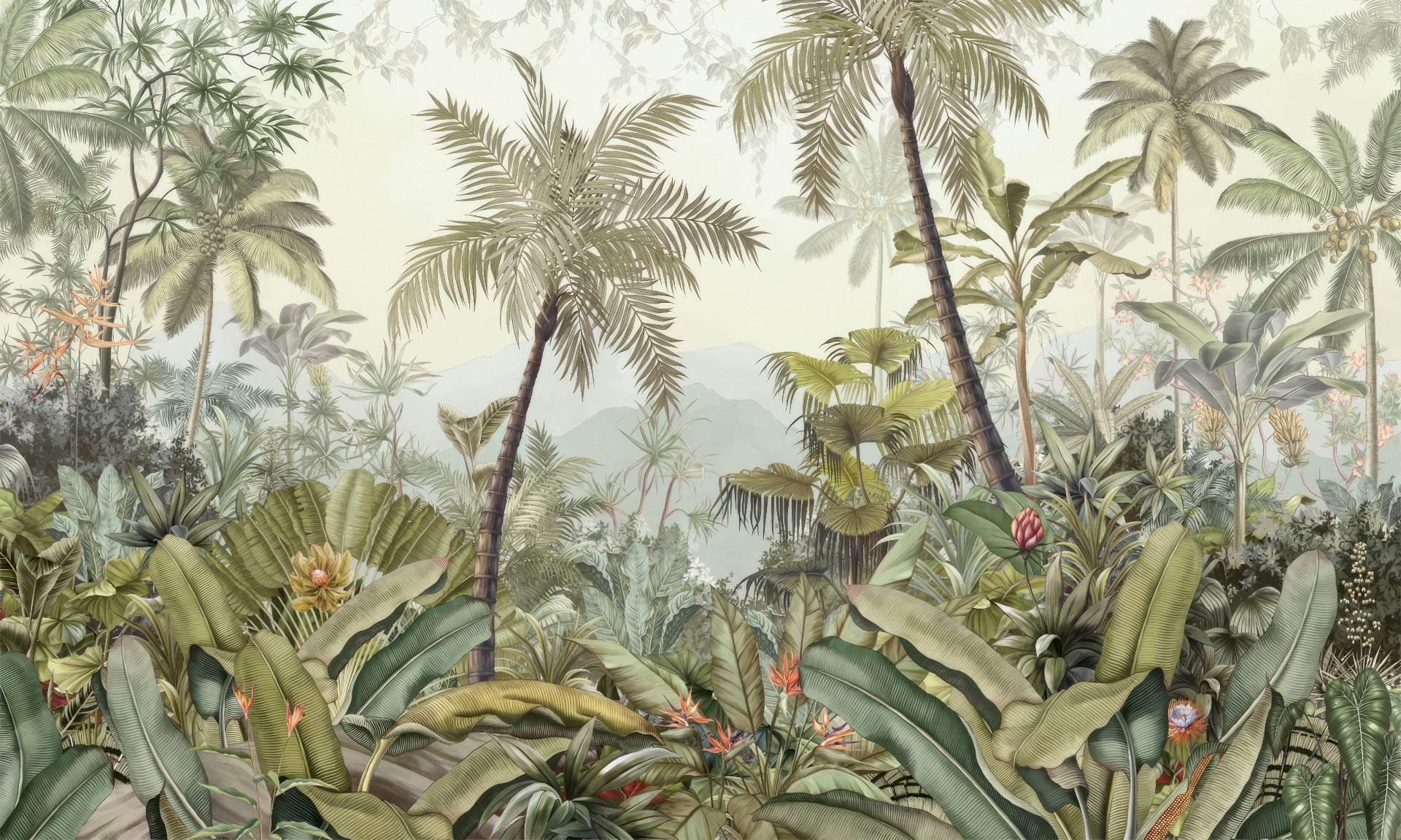 Lush Green Forest Wallpaper Murals