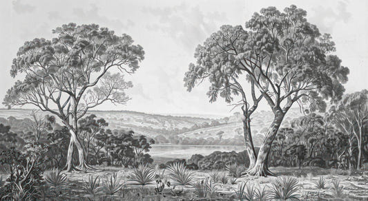 Black & White Fog Covering Trees Forest Wallpaper Mural