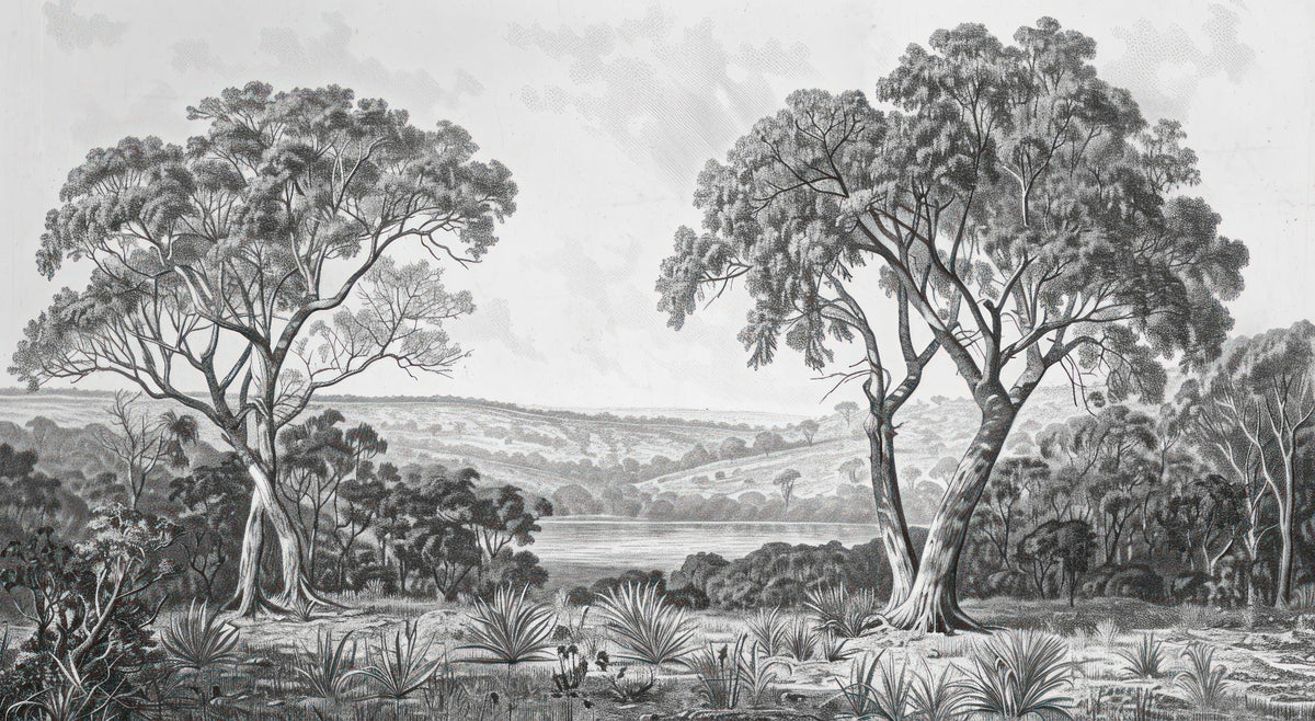 Black & White Fog Covering Trees Forest Wallpaper Mural