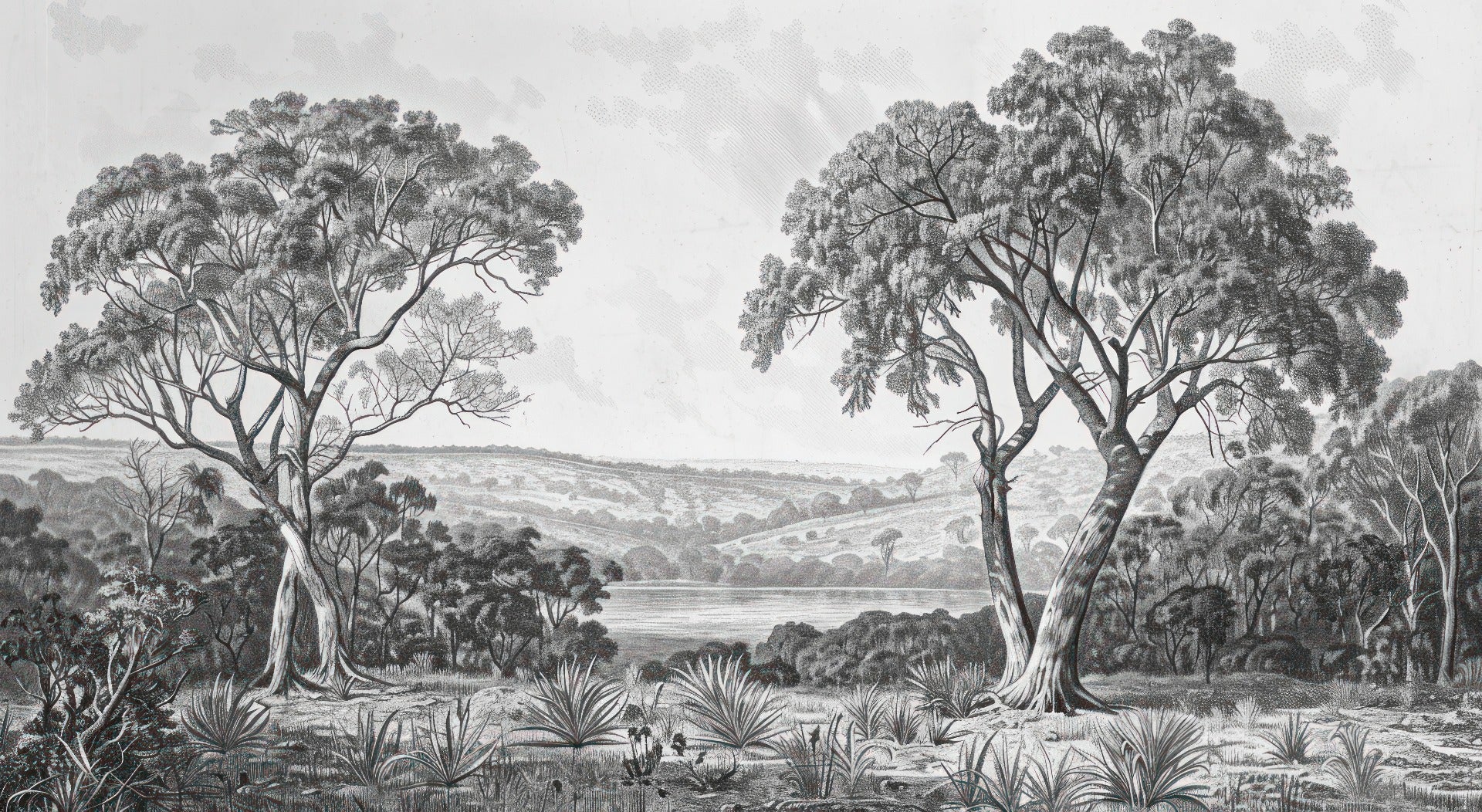 Black & White Fog Covering Trees Forest Wallpaper Mural