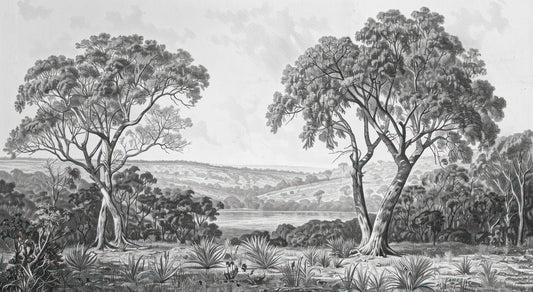 Black & White Fog Covering Trees Forest Wallpaper Mural