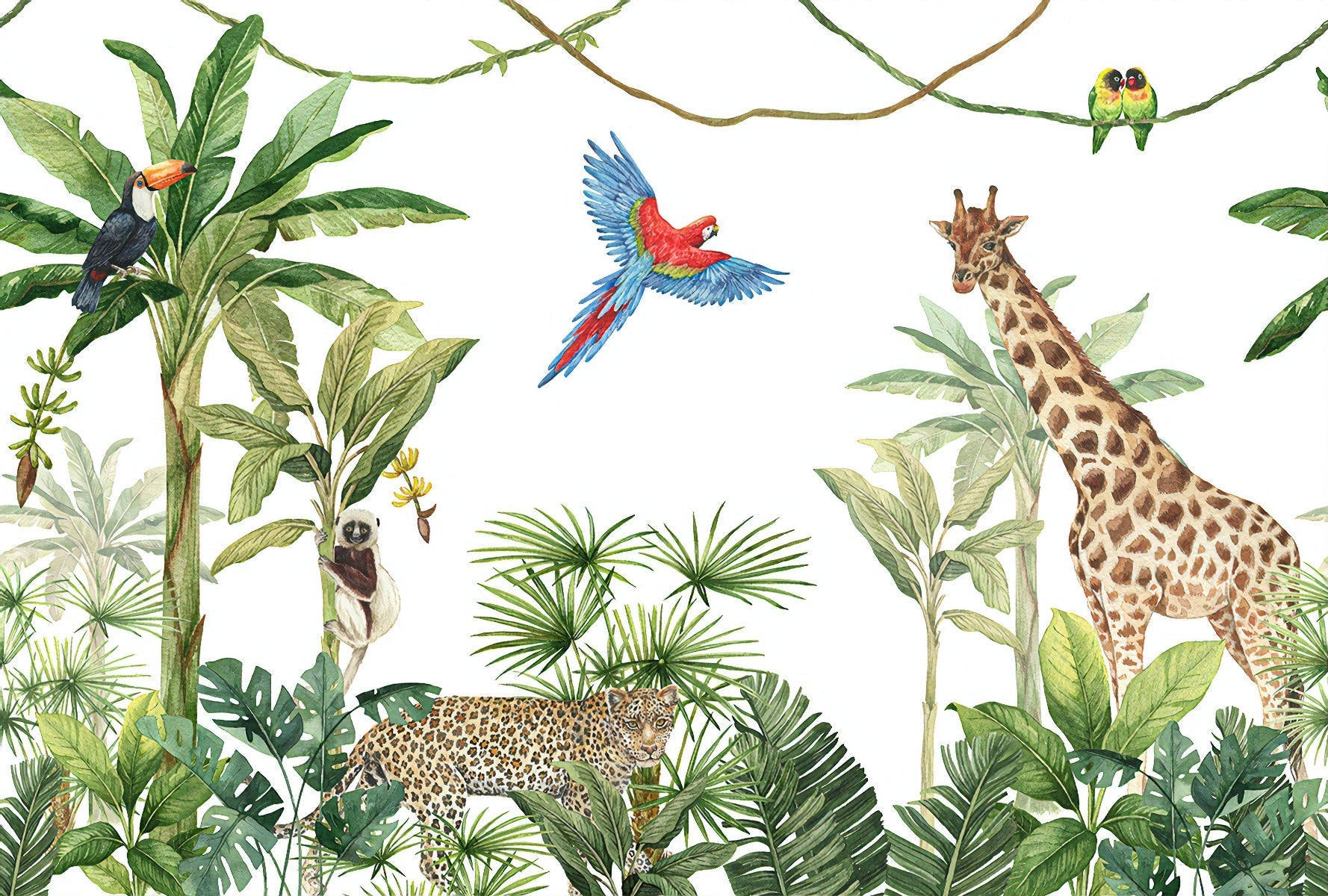 Animals Kingdom Wallpaper Mural