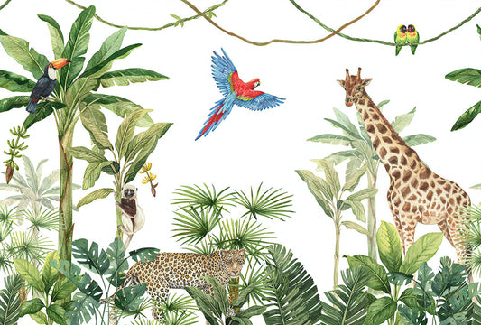 Animals Kingdom Wallpaper Mural