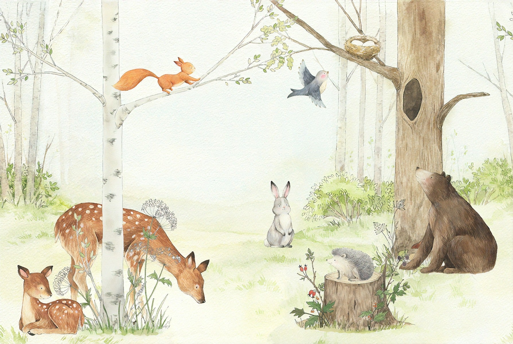 Wildscapes Wonders Wallpaper in your room — zoomed