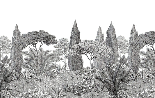 Gray Deodar Trees Wallpaper Murals