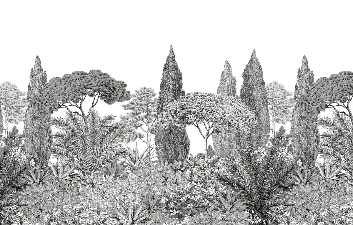 Gray Deodar Trees Wallpaper Murals
