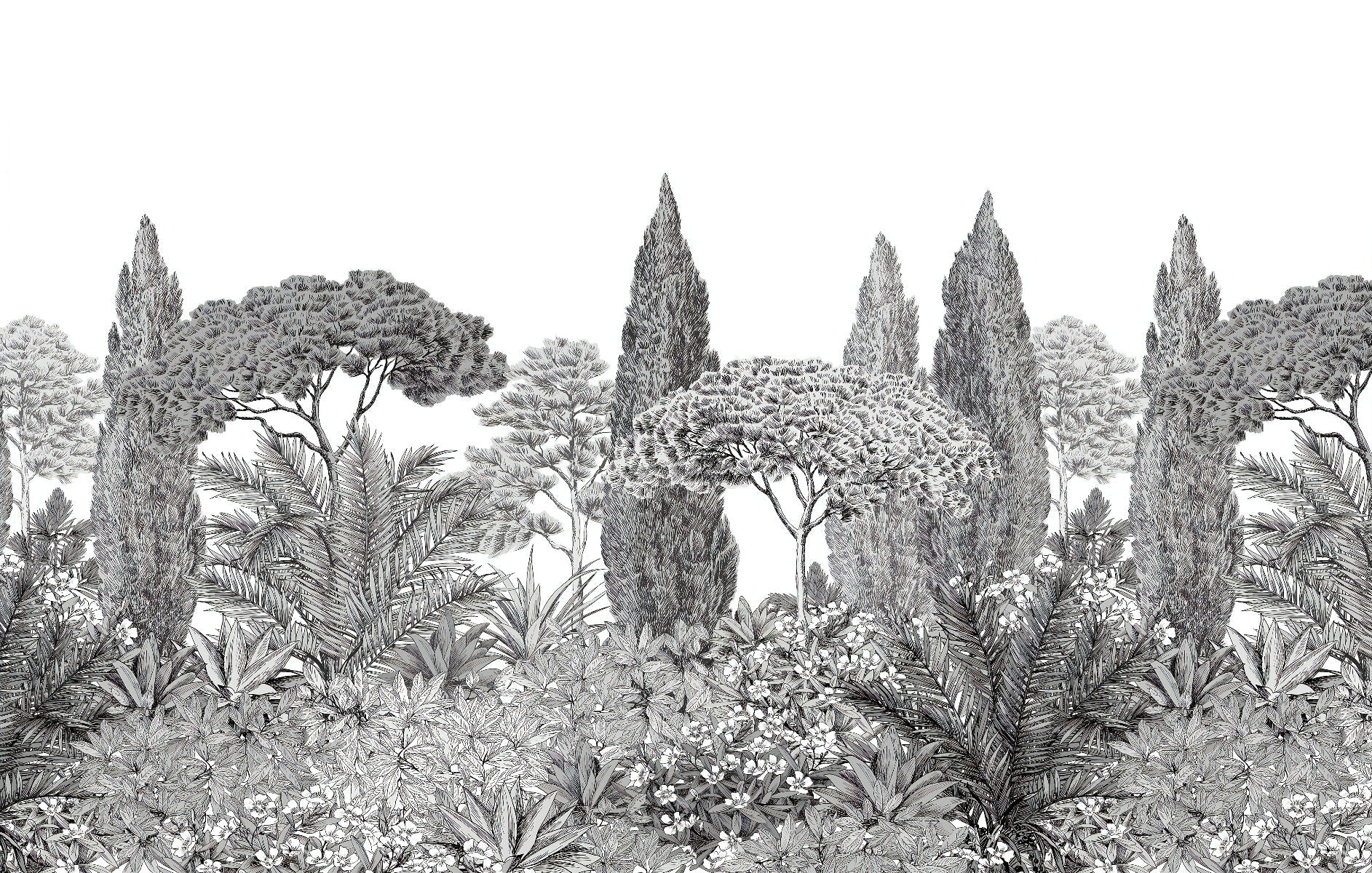 Gray Deodar Trees Wallpaper Murals