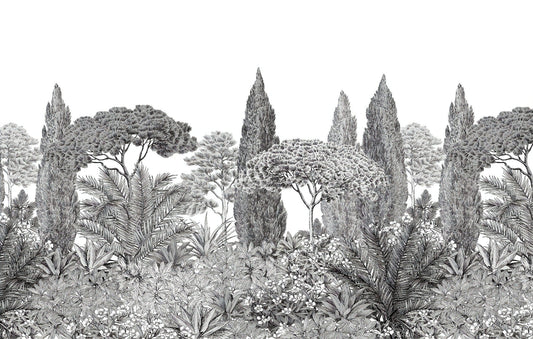Gray Deodar Trees Wallpaper Murals