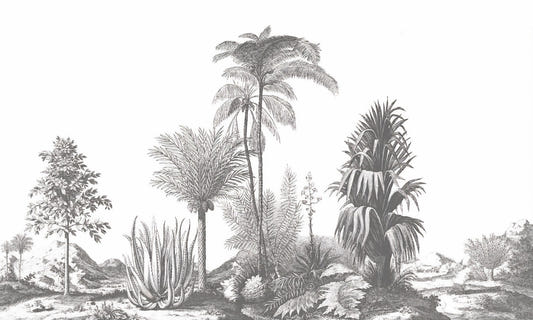 Gray Tone Tropical Serene Wallpaper Murals