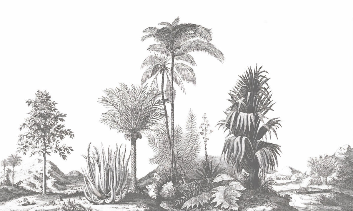 Gray Tone Tropical Serene Wallpaper Murals
