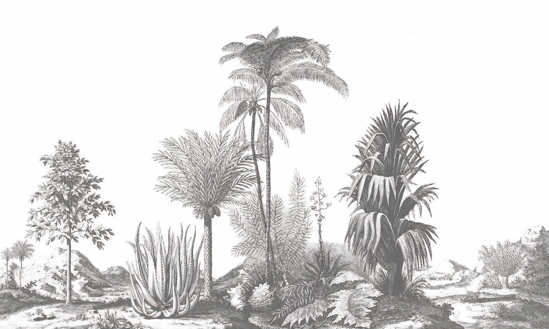 Gray Tone Tropical Serene Wallpaper Murals