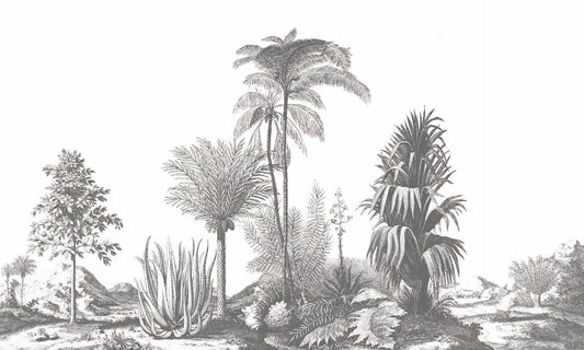Gray Tone Tropical Serene Wallpaper Murals