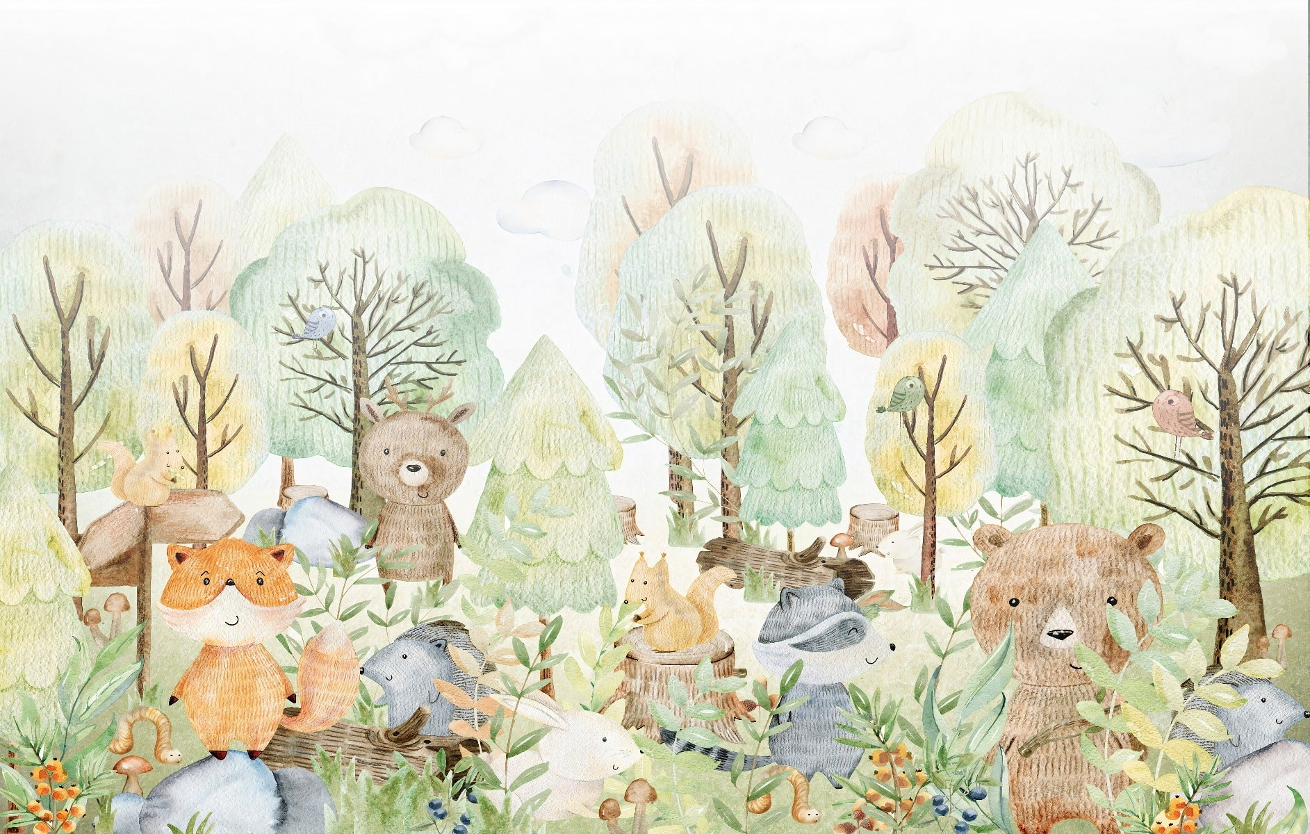 Doodles Bears Animals Wallpaper Murals