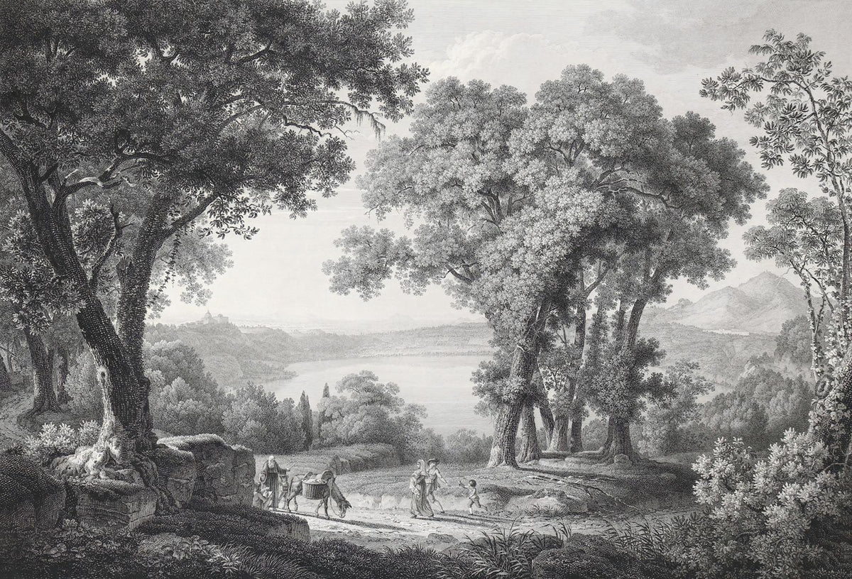 Vintage Sketched Gray Forest Tree Wallpaper