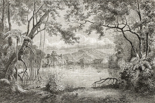 Sketchy Hills Wallpaper Murals