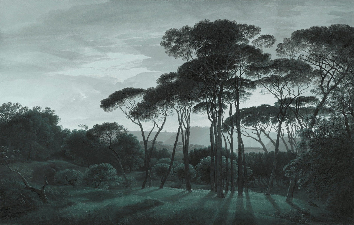 Misty Woods Symphony Wallpaper in your room — zoomed