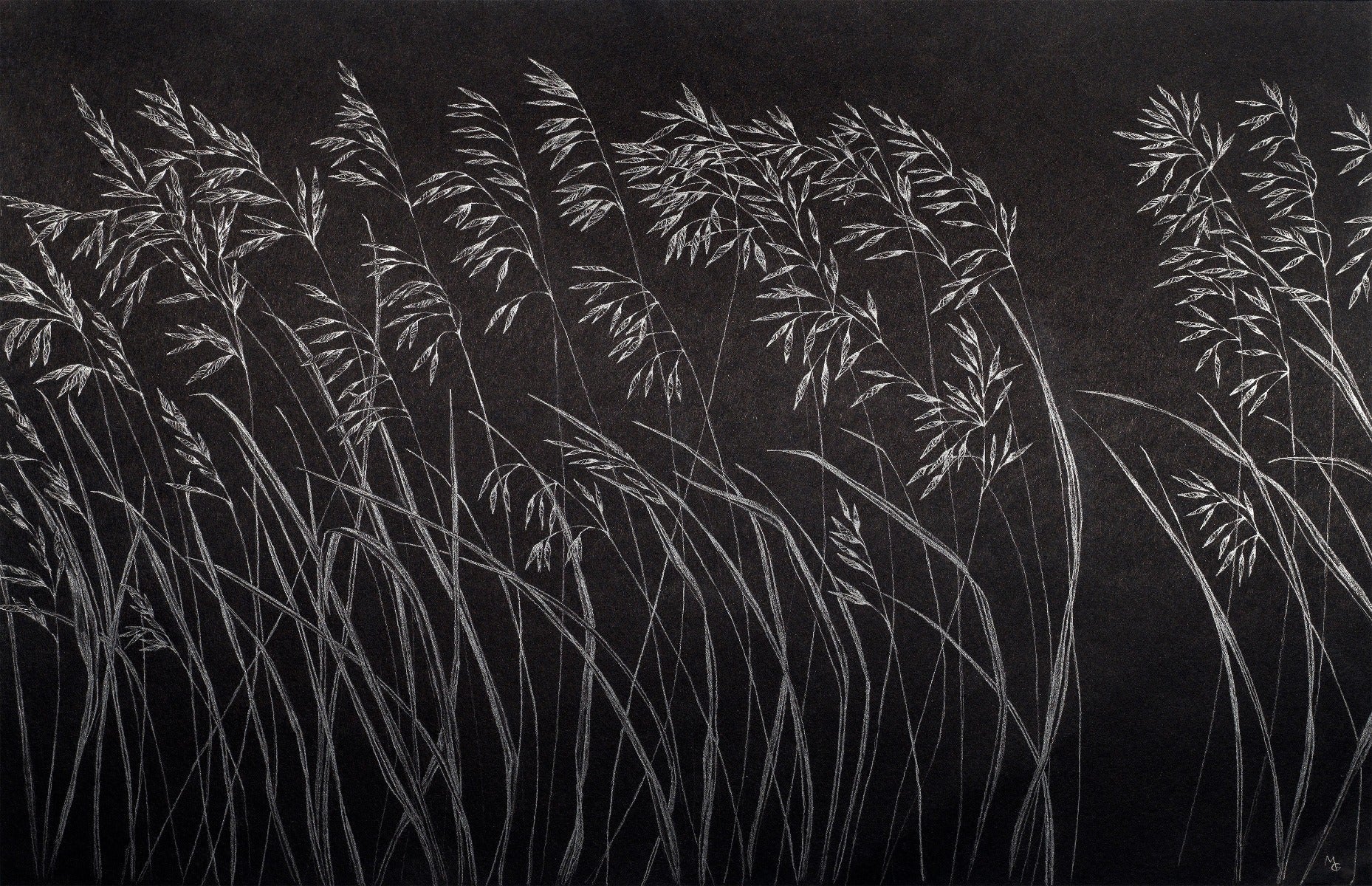 Ink Brushed Reed Wallpaper Mural