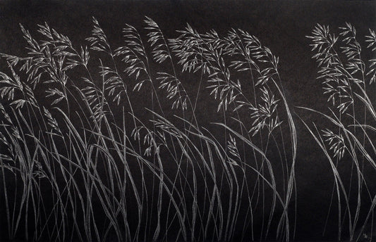 Ink Brushed Reed Wallpaper Mural