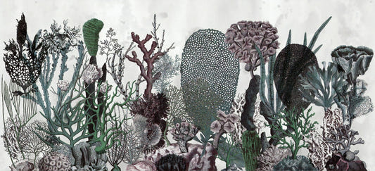 Flowers & Plant Wallpaper Murals