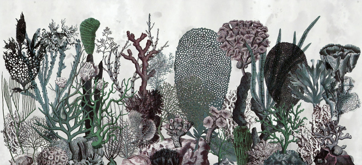 Flowers & Plant Wallpaper Murals in your room — zoomed