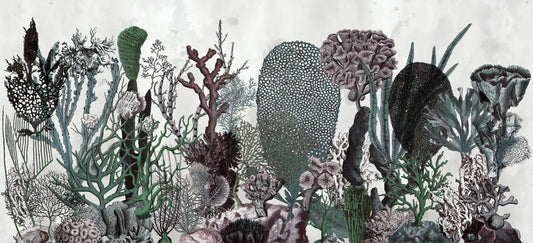 Flowers & Plant Wallpaper Murals