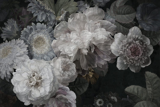 White Color Wild Flowers Wallpaper Murals