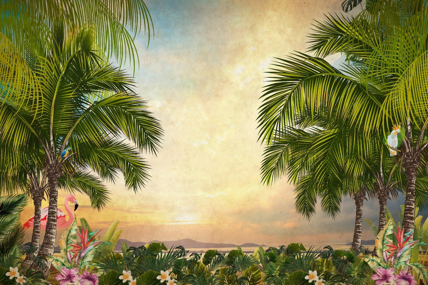 Lavish Sunset Wallpaper Murals