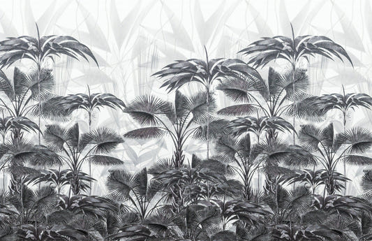 Black and White Tropical Wallpaper Murals