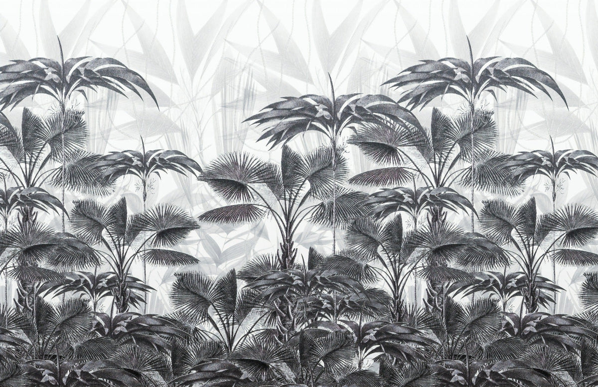 Black and White Tropical Wallpaper Murals