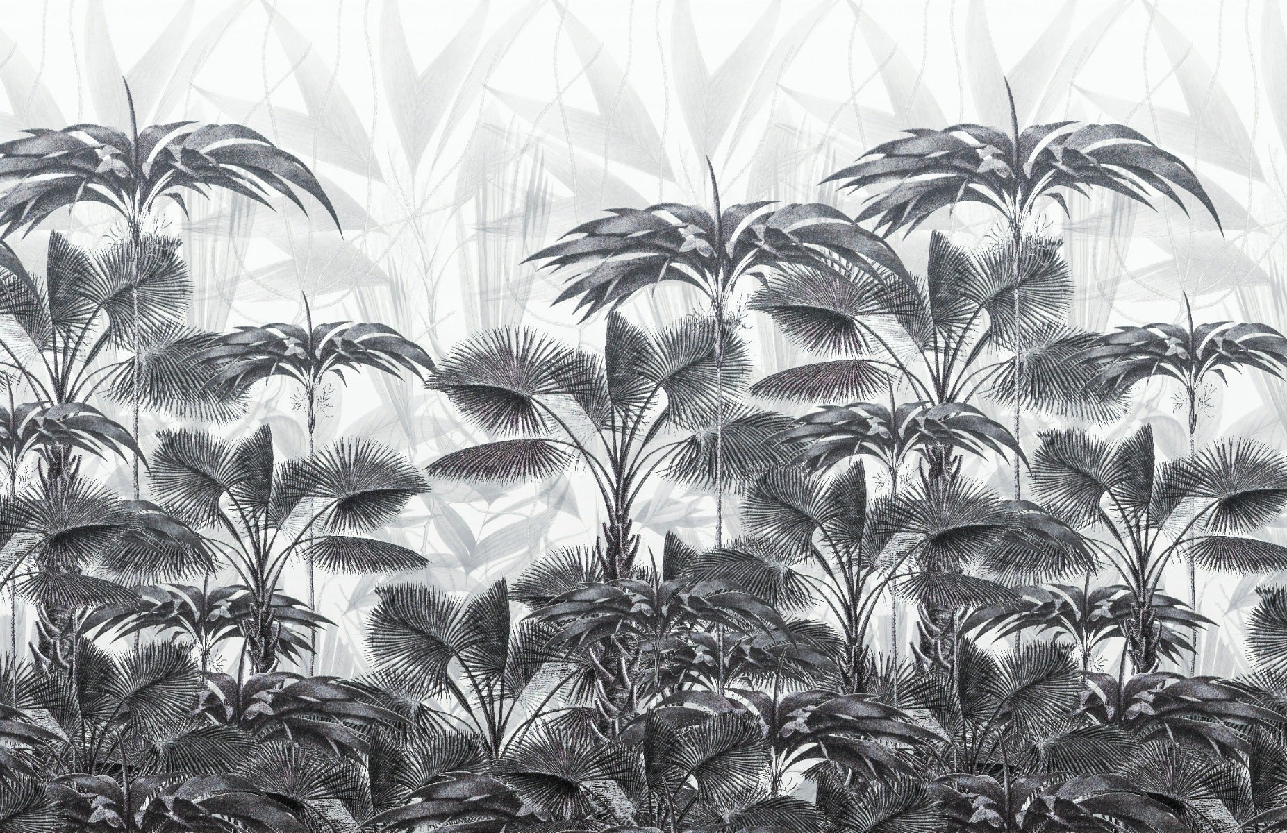 Black and White Tropical Wallpaper Murals